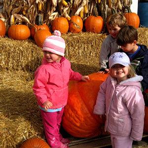 Edina Morningside Preschool field trip